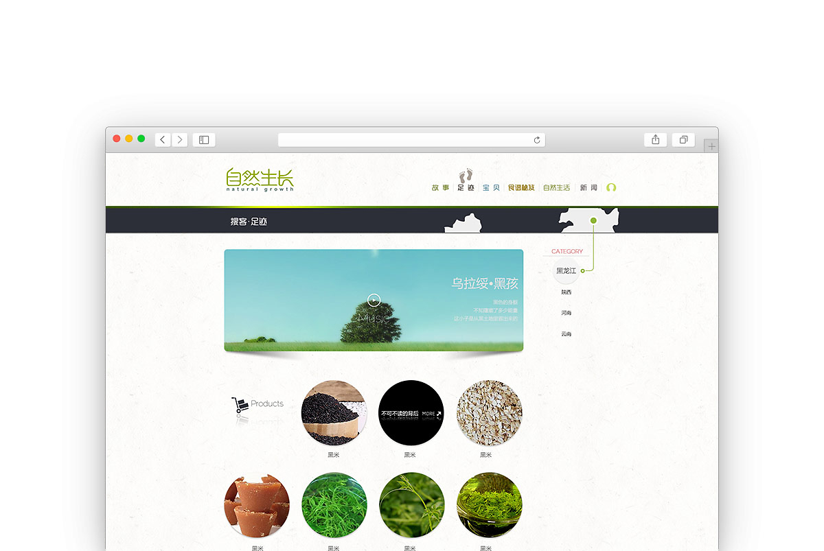 自然生長 品牌網站設計與制作的生態哲學